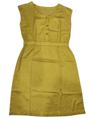 Ladies Western Frock style Top