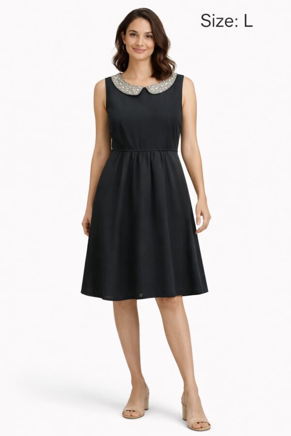WhatsApp Image 2026-02-18 at 2.48.56 PM Black dress with stone collar