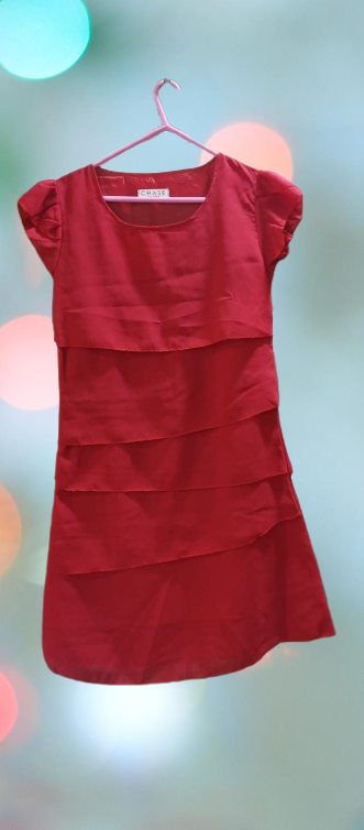 WhatsApp_Image_2025-06-21_at_4.30.37_PM-removebg-preview Red Straight Fit Layered Dress
