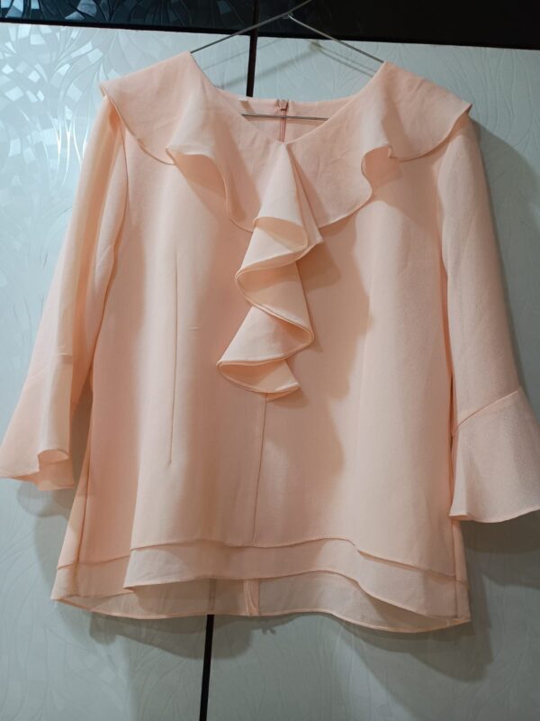 WhatsApp Image 2026-03-16 at 1.24.47 PM Peach Coloured Ladies Flared Top